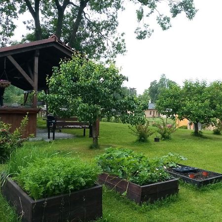 Mija Apartman S Vinnym Sklipkem, Zahradou A Grilem Kajov Екстер'єр фото